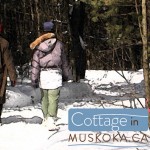 Winter walk Muskoka cottage road